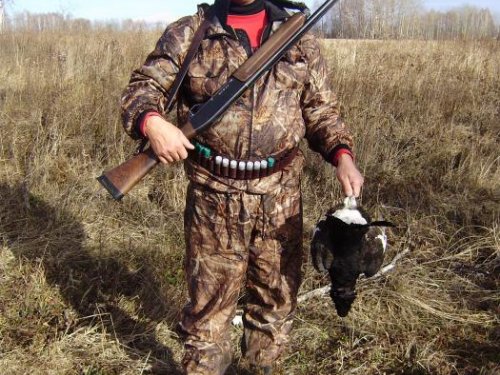 тетерев