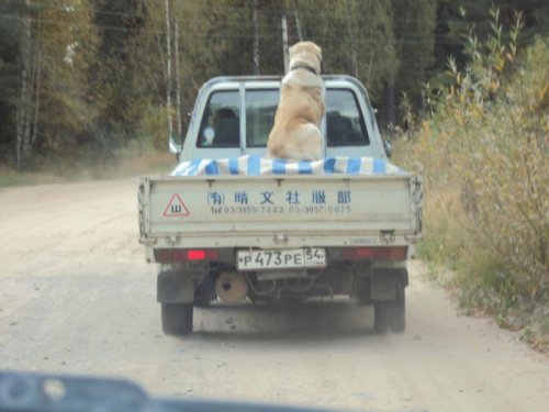 Собакен
