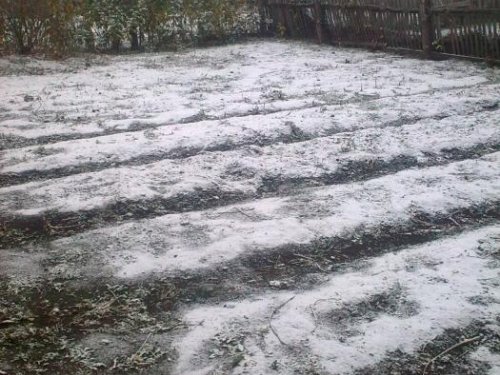 cнежок