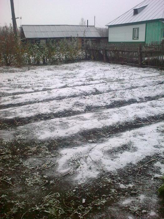 cнежок