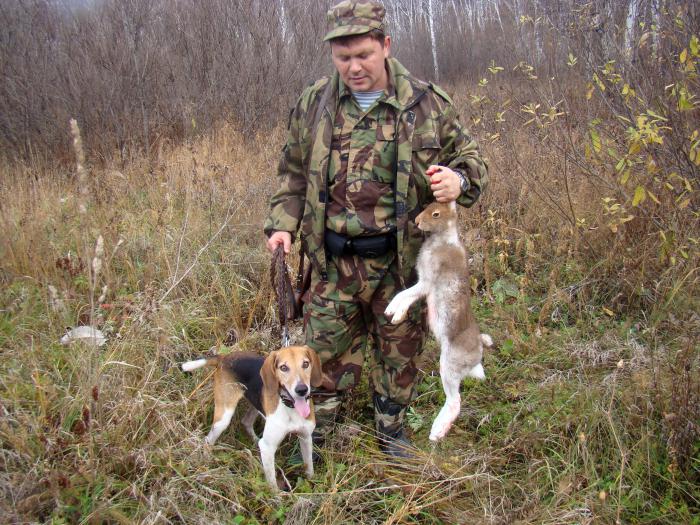 У соседей хорошо,а дома ещё ждать и ждать!