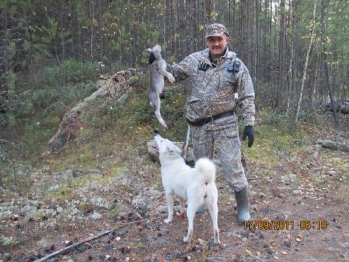 "Бродяга 2011" Зайчика выгнала
