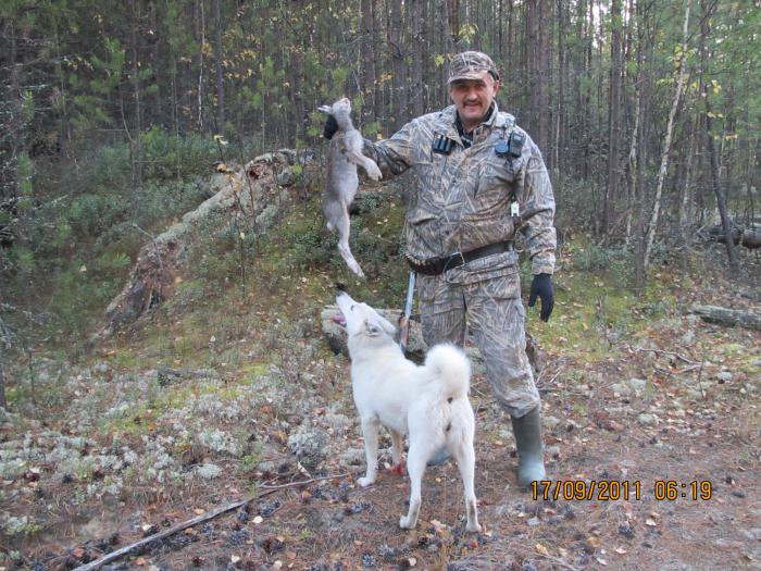 "Бродяга 2011" Зайчика выгнала