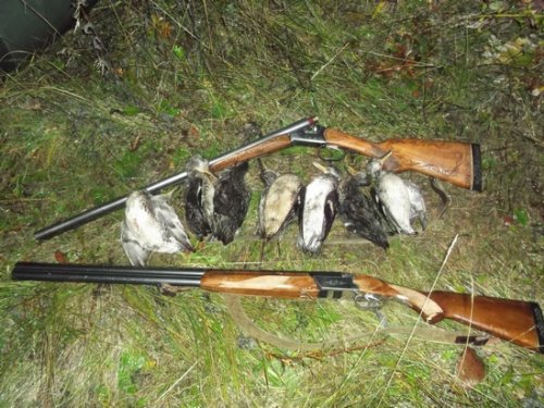 иж-43 тоз-34 и чирочки