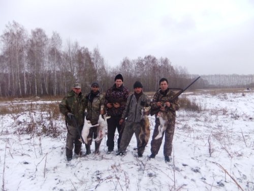 открылись