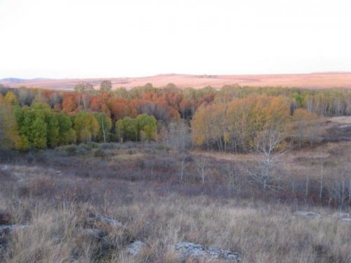 Осеннее настроение