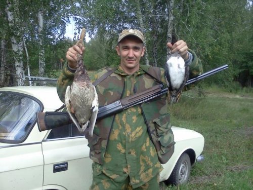 Утки