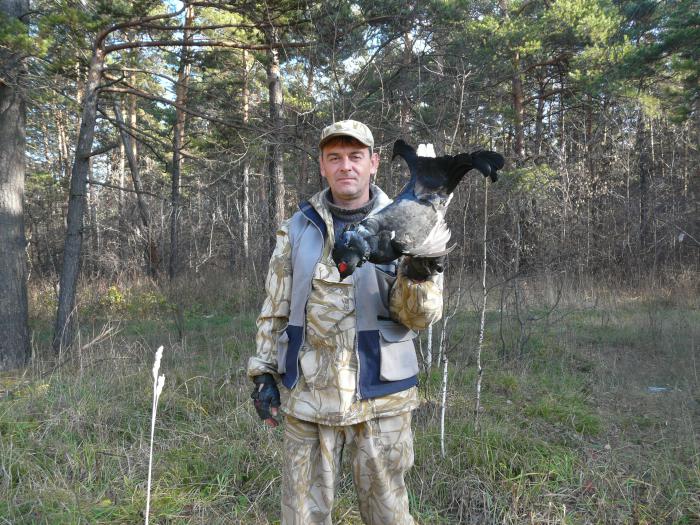 тетерев
