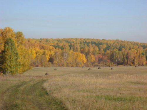 Краски осени.