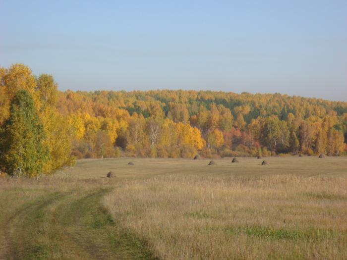 Краски осени.