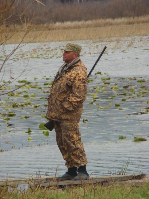 "смотрящий"