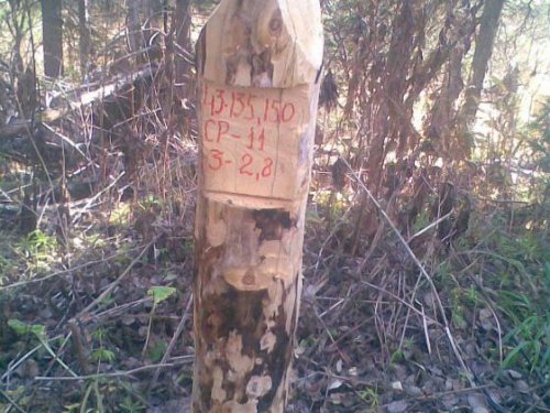 Столбик