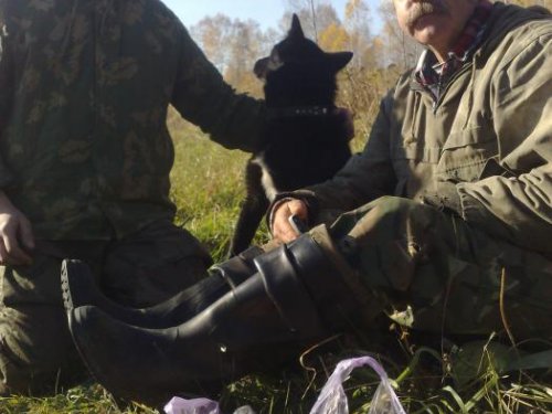 Привал на охоте 