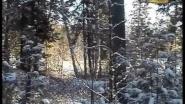 Фильм про охотника Александра Зубова (часть 3) 