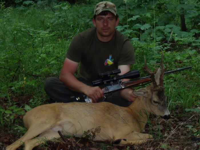 roe deer