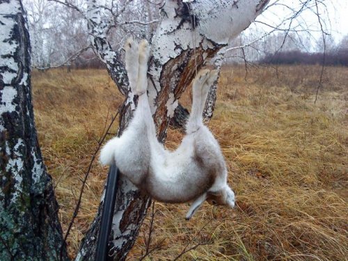 Удачный день!