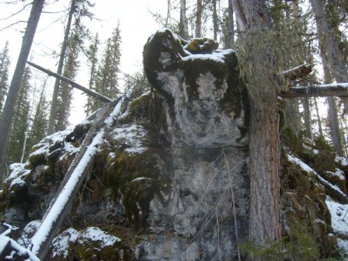 Каменная черепаха.