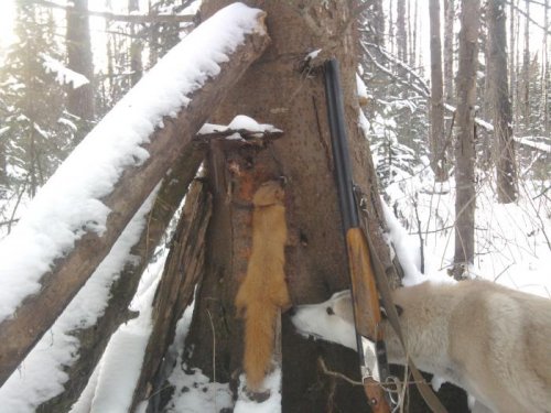 Рыженький