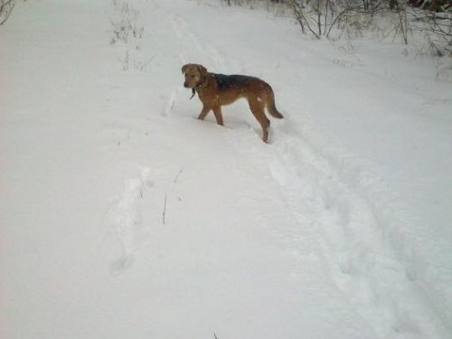 выжловачка!!!!!!!!!