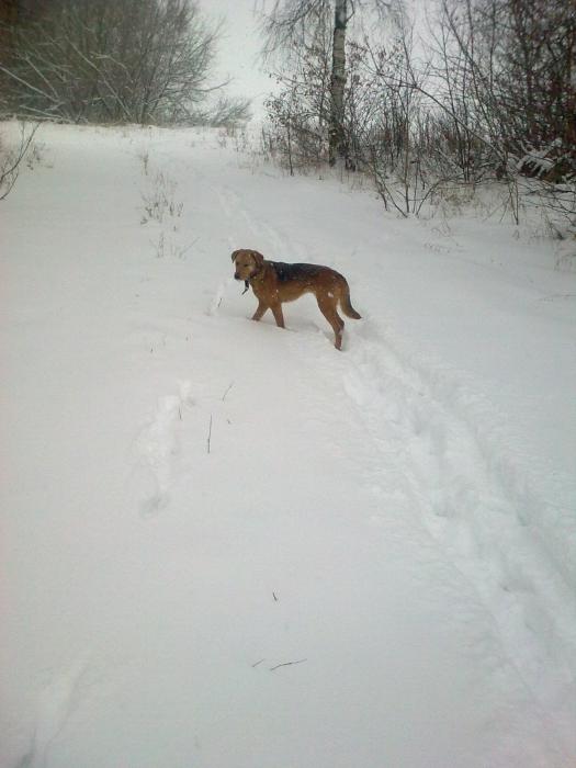 выжловачка!!!!!!!!!