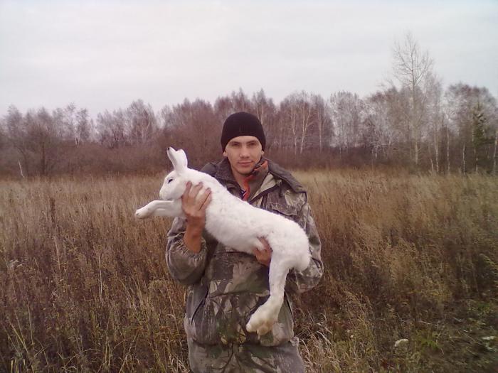 Белячок!