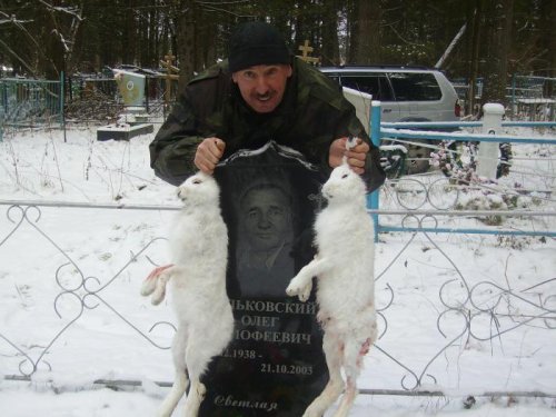 заяц