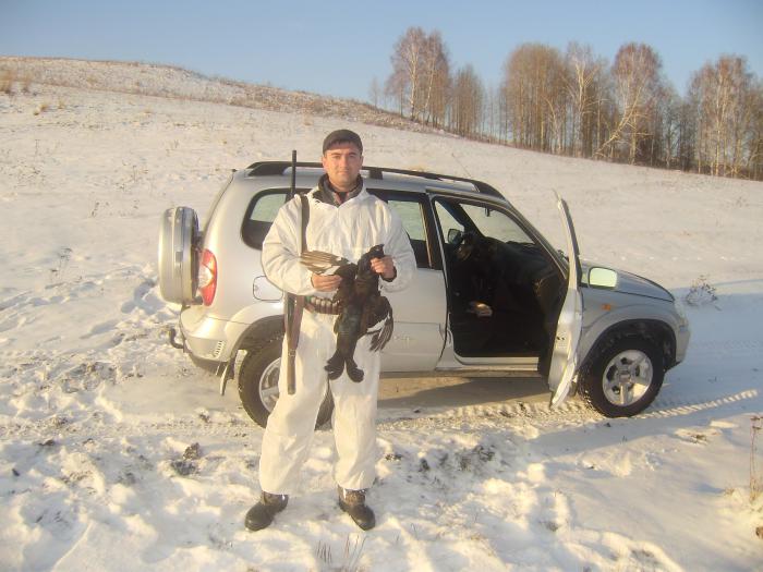 Тетерев