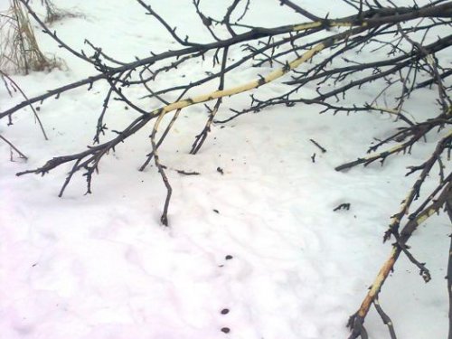 Наследили,покушали и смылись.