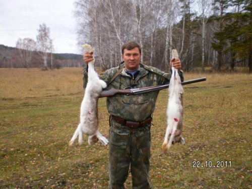 Охота на косого