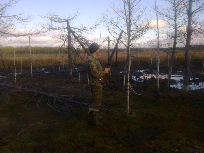 В ожидании.....