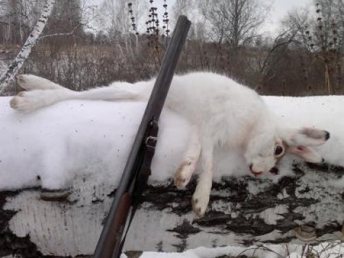Первый в этом сезоне