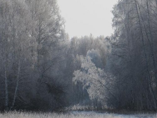 Мороз, тень и света луч.