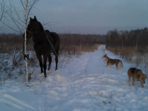 перекур.. 