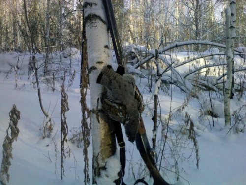 С лунки