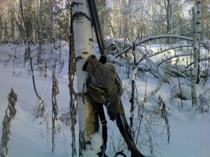 С лунки