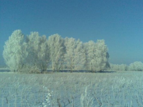 Морозное утро