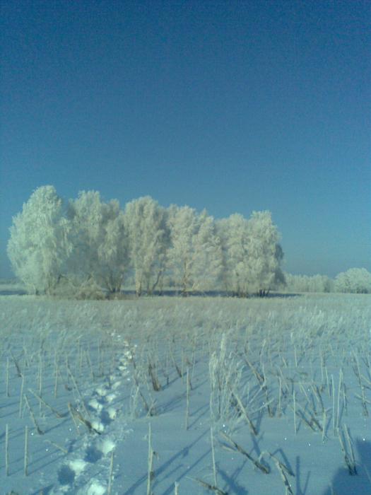 Морозное утро