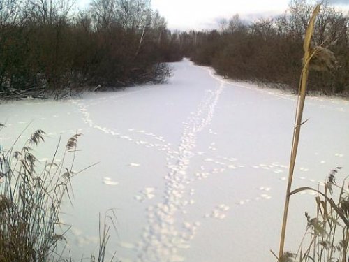 Маленько потоптались