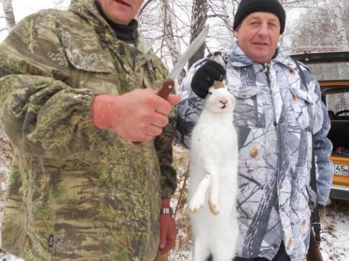 1 ноября, открытие охоты.