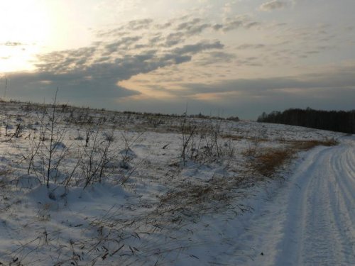 дорога домой