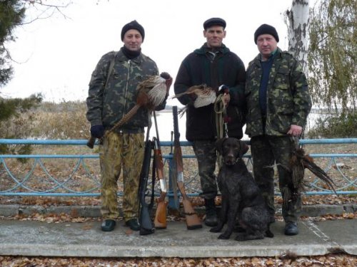   Охота на фазана в Донецкой области.