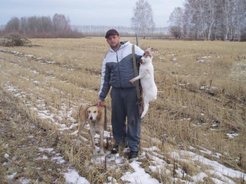 Доволенский р-н