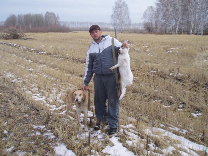 Доволенский р-н