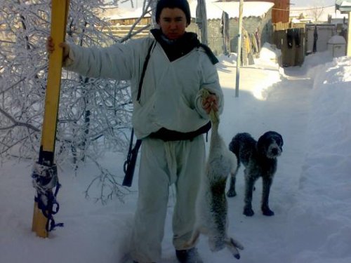 неплохой зайчик