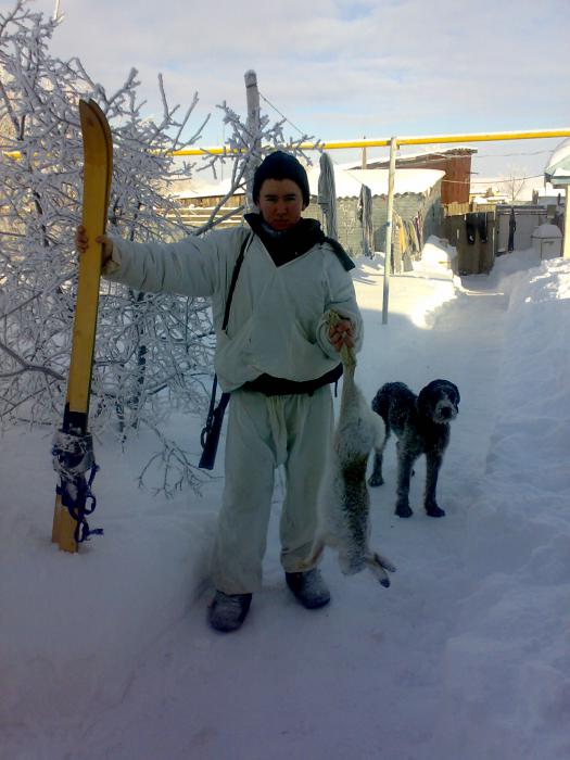 неплохой зайчик