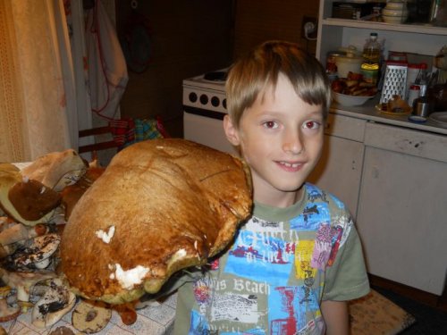 Царь Боровик и внук.