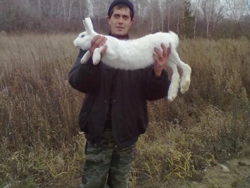 Сам на номер выбежал))))