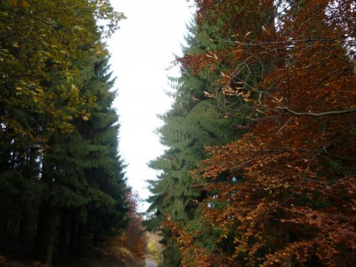 Осенняя "перспектива".