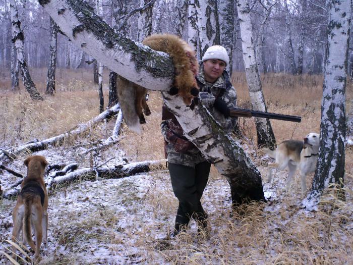 Весёлая команда))