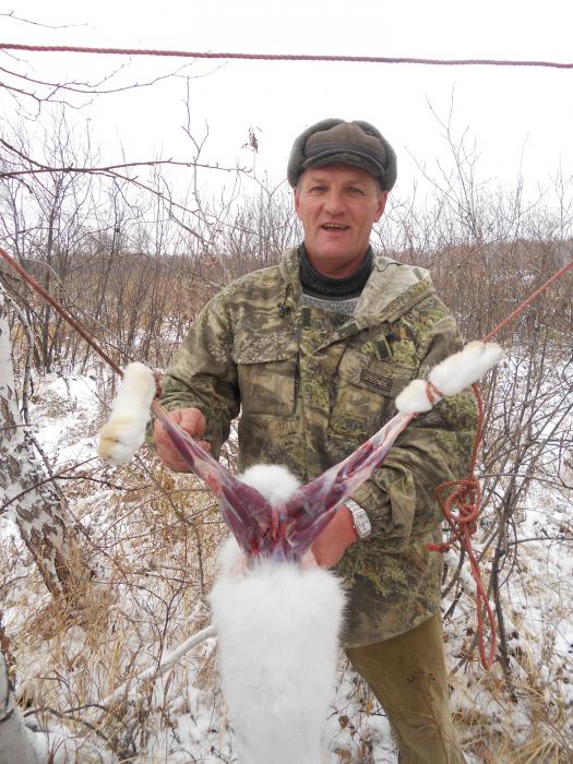 Зайчик